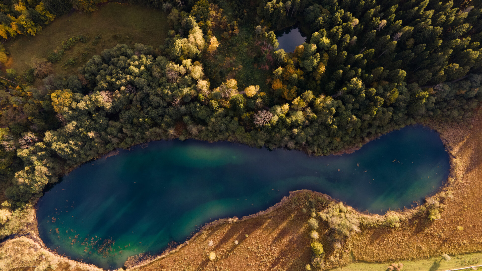 <p>Der Baßgeigensee oder Müllnersee ist ein kleiner See im Keutschacher Seental östlich des Keutschacher Sees in der Gemeinde Keutschach.&nbsp;</p>