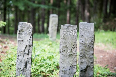 <p>Lost Places im Alpen-Adria-Raum. Verfallene und vergessen Gebäude bei den spannenden Gravelbike Touren vom Wörthersee aus entdecken.</p><p>Am Bild Grabsteine der Keltensiedlung am Kathreinkogel.</p>