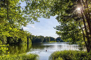 <p>Trattnigteich in der Gemeinde Schiefling am Wörthersee.</p>